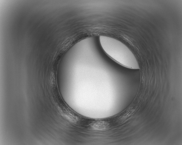 X0000059090459200510071000