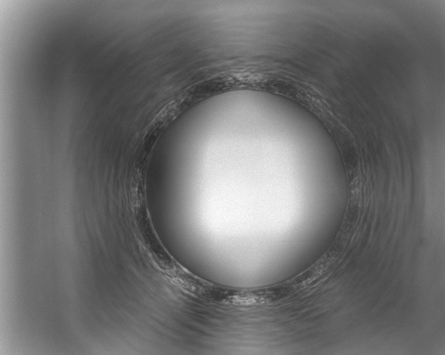 X0000059090464200510071000