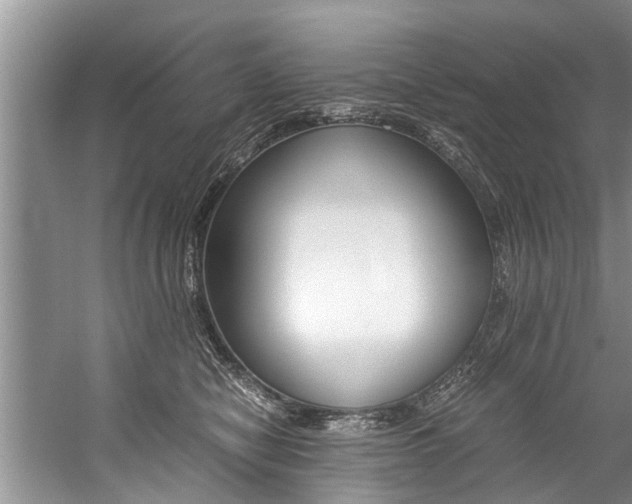 X0000059090470200510071000