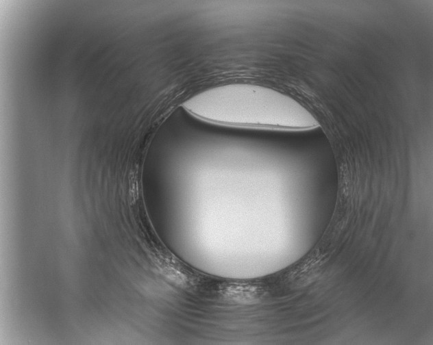 X0000059090471200510071000