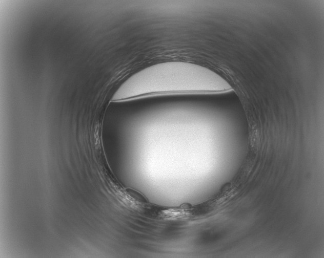 X0000059090477200510071000