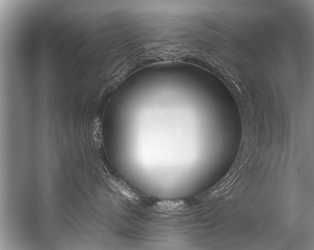 X0000059090480200510071001