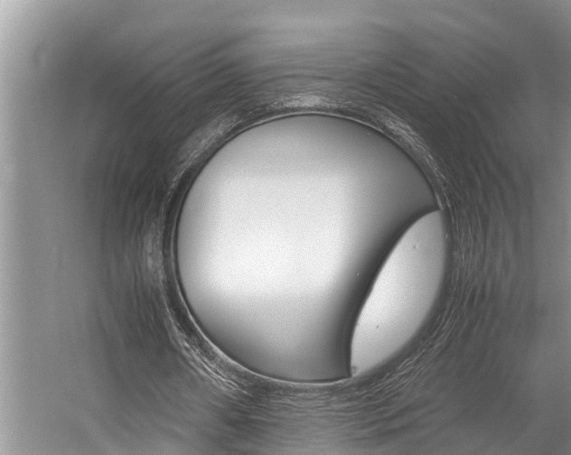 X0000059090482200510071000