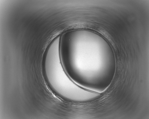 X0000059090485200510071000