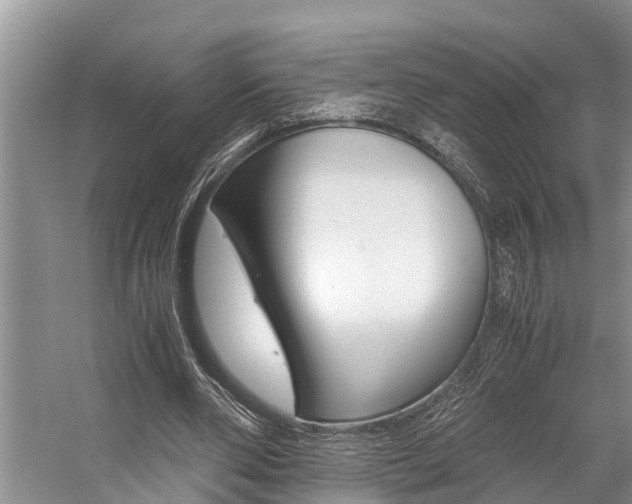 X0000059090486200510071000