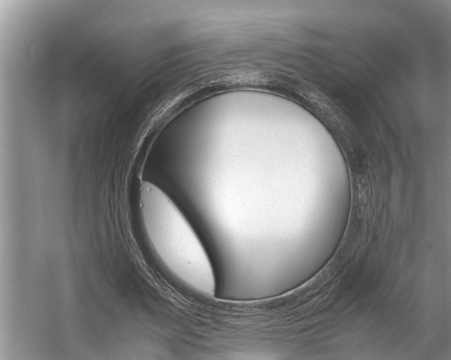X0000059090487200510071000