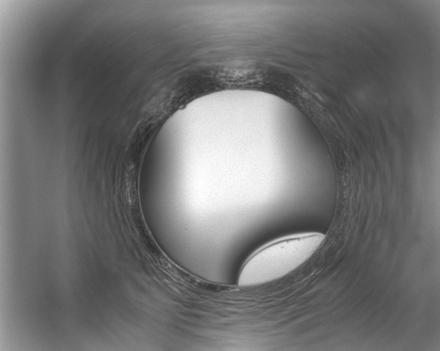 X0000059090515200510070959