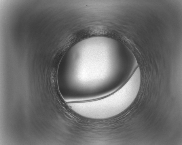 X0000059090517200510070959