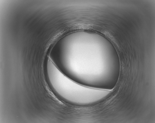 X0000059090581200510070958