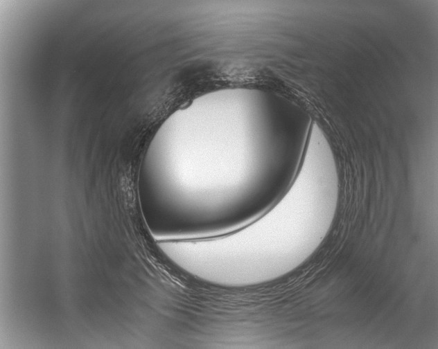 X0000059090609200510070958