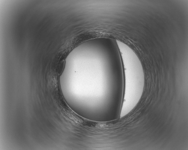 X0000059090613200510070957