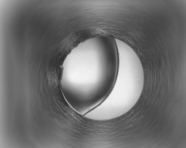 X0000059090617200510070957