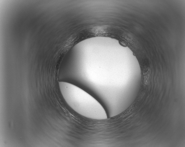 X0000059090618200510070957