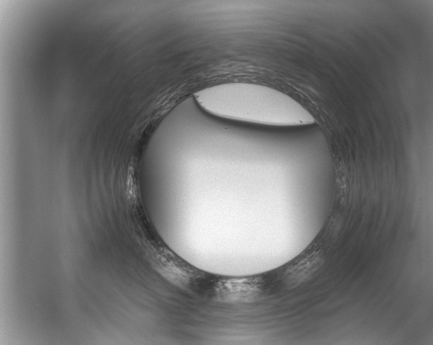 X0000059090622200510070957