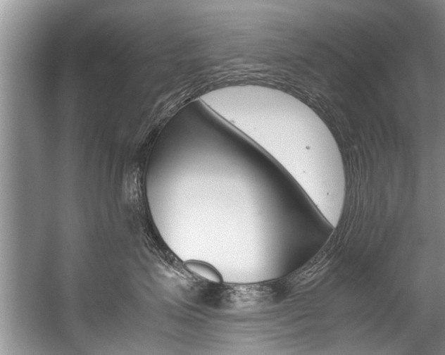 X0000059090623200510070957