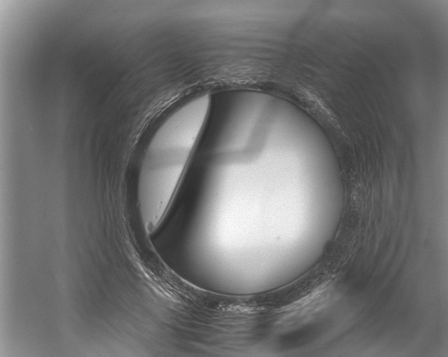 X0000059090635200510070957