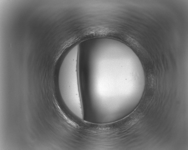 X0000059090638200510070957