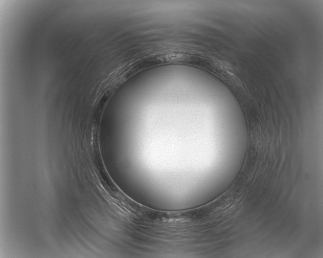 X0000059090645200510070957
