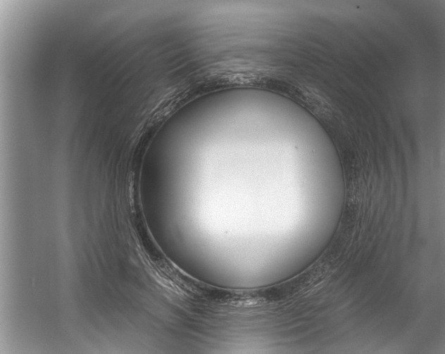 X0000059090646200510070957