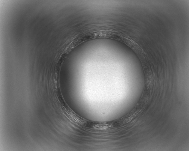 X0000059090661200510070957