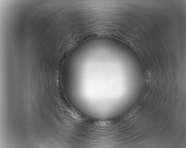 X0000059090664200510070957