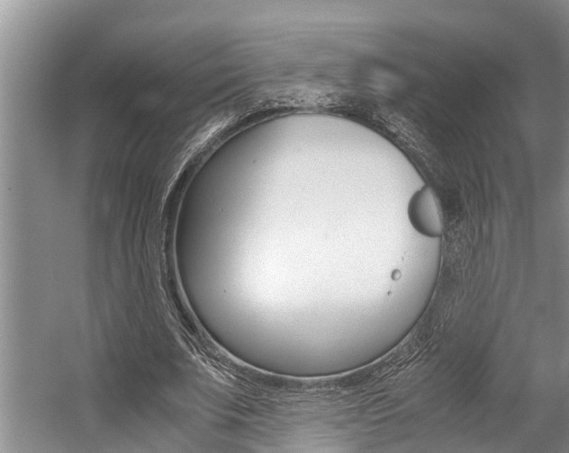 X0000059090679200510070956