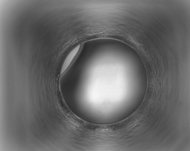 X0000059090689200510070956