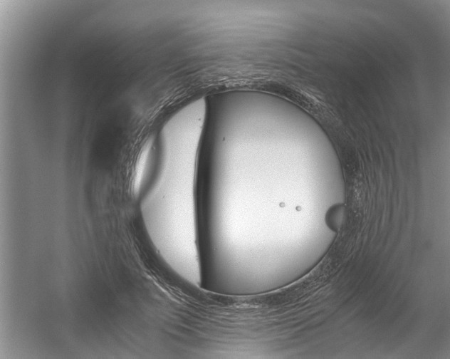 X0000059090691200510070956