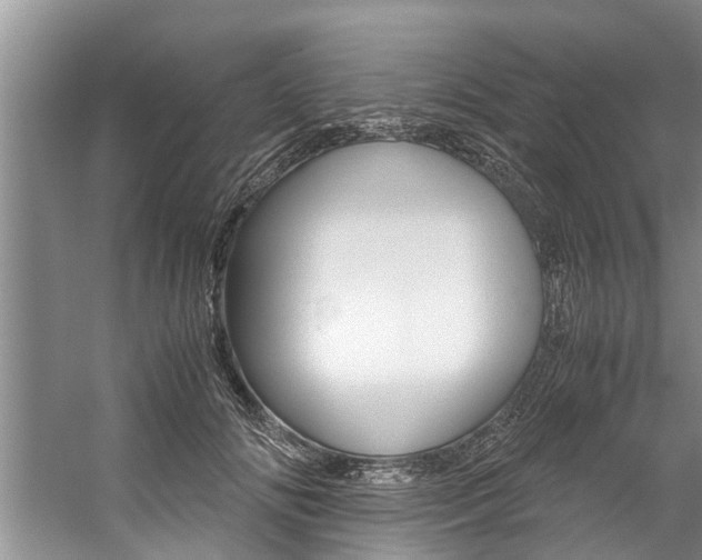 X0000059090702200510070956