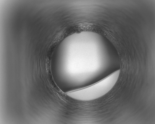 X0000059090712200510070956