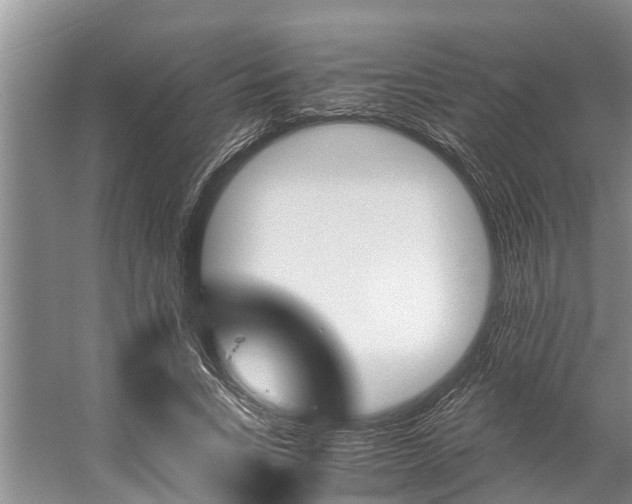 X0000059090735200510070955