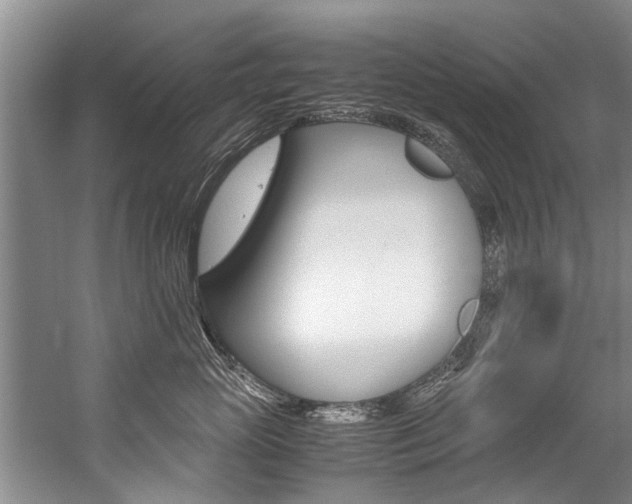 X0000059090765200510070956