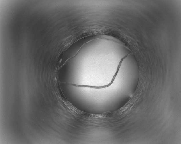 X0000059090768200510070956