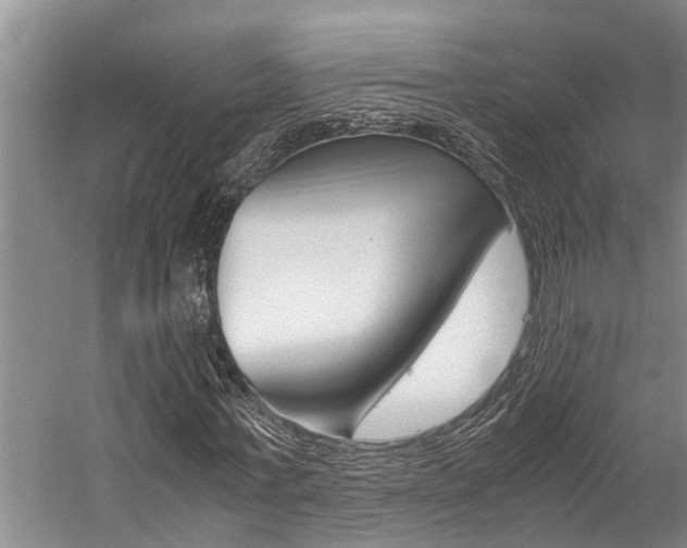 X0000059090771200510070955
