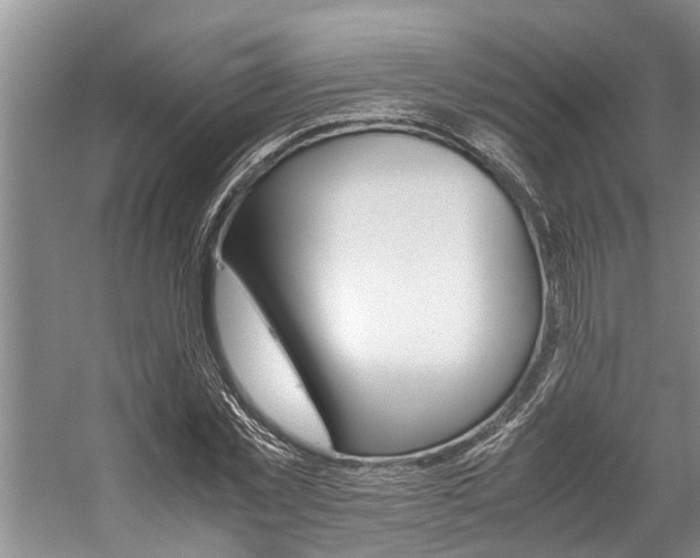 X0000059090781200510070955