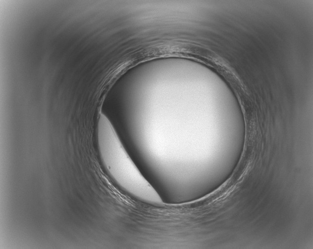 X0000059090785200510070955