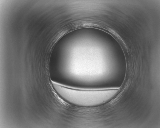 X0000059090801200510070954