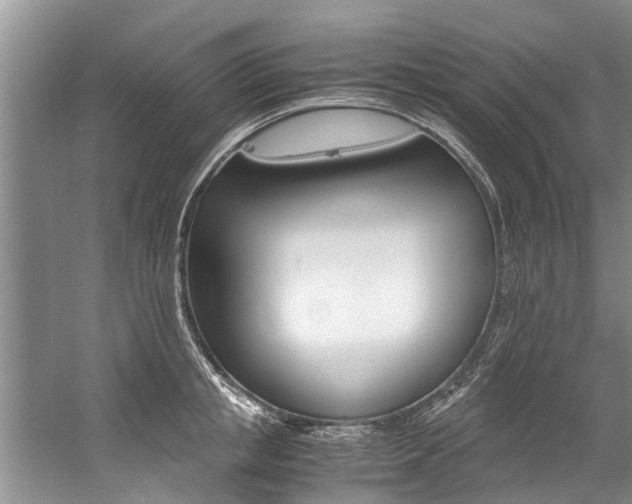 X0000059090853200510070954
