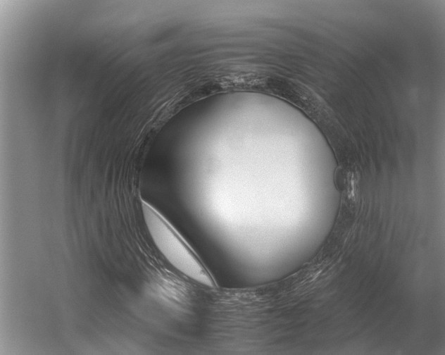 X0000059090915200510070952