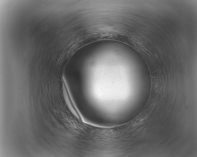 X0000059090916200510070952