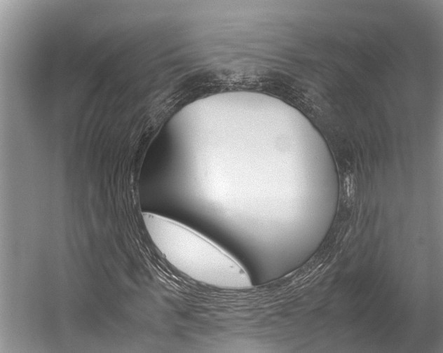 X0000059090963200510070952