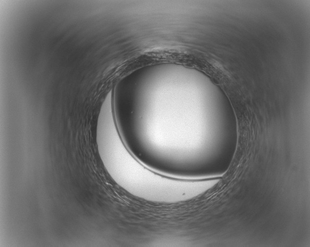 X0000059090965200510070952