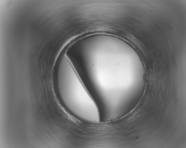 X0000059091024200510070950