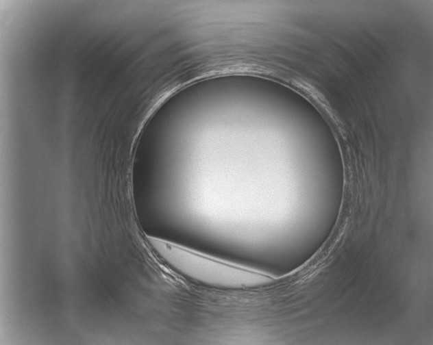 X0000059091097200510070949