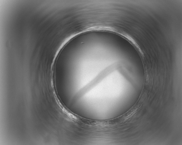 X0000059091102200510070949