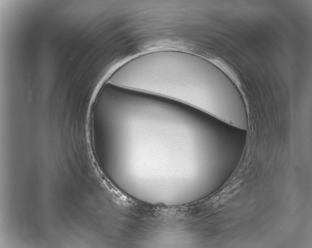 X0000059091104200510070949