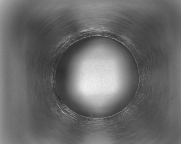 X0000059091110200510070948