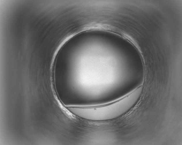 X0000059091152200510070949