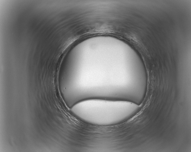 X0000059091162200510070948