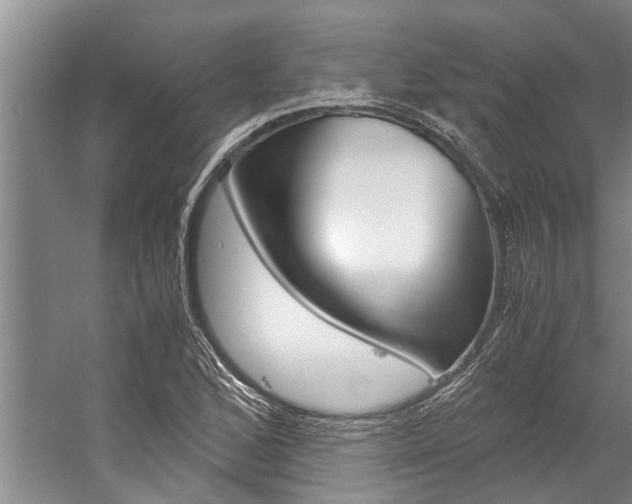 X0000059091168200510070948
